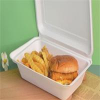 Biodegradable / sugarcane lunch / Take away box  from disposablesInc.com The best import service in China. Import your disposable items and products from us. 