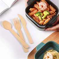 Wooden cutlery         