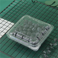 Plastic fruit containers