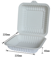 Lunch box / Clamshell                            22*22 cm