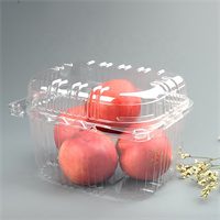  Plastic fruit container 2L
