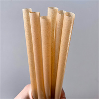 Kraft Paper Straw from DisposablesInc.com. The best import service in China. Import your disposable items and products from us.