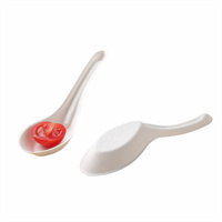  Spoon