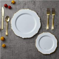 PS plate 
