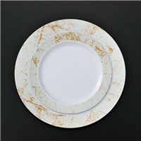 PS plate