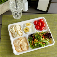 biodegradable / Sugarcane plate from disposablesInc.com. The best import service in China. Import your disposable items and products from us.