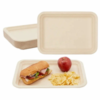 Food tray 