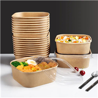 Paper food container 1000ml square 