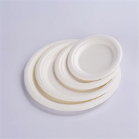 Biodegradable / Sugarcane plate with from disposablesinc.com 