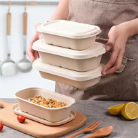 Food container 