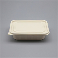 Food container 980 ml