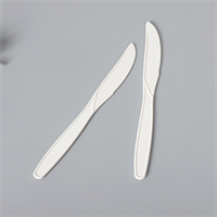 Knife 