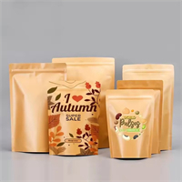 Kraft Zipper Paper bag
