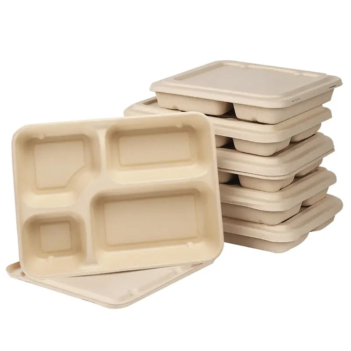 The Environmental Benefits of Using Sugarcane Bagasse for                   Disposable Food Items from DisposablesInc.com. The best import service in China. Import your disposable items and products from us.