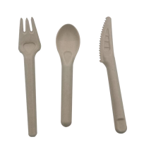 biodegradable / Sugarcane cutlery from disposablesInc.com. The best import service in China. Import your disposable items and products from us.